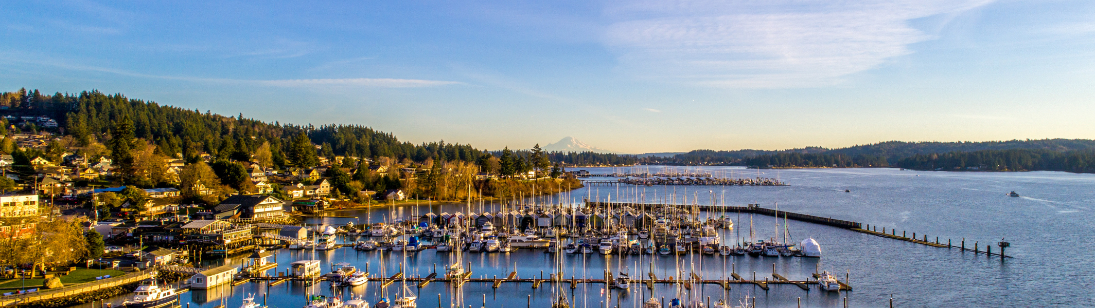 A Kitsap County waterfront neighborhood with the Olympic Mountains behind it